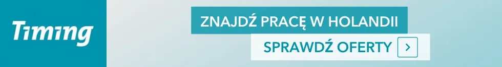 Timing - Najlepsza praca w Holandii