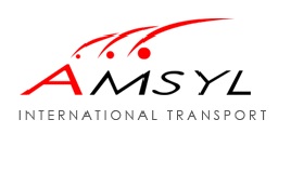 Logo FIRMA HANDLOWO USŁUGOWA AMSYL