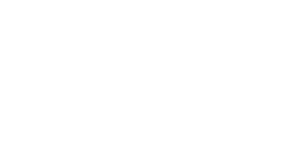 Logo Optic Mobile