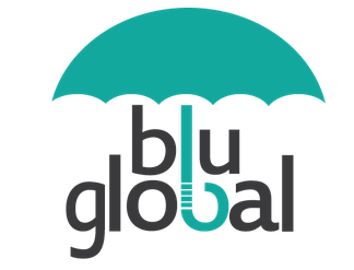 Logo Blu-Global Recruitment & Training Specialist
