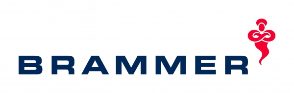 Logo Brammer S.A.