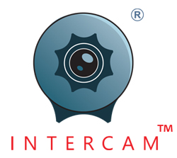 Logo Intercam Studios Poland Sp. z o.o. Dziemdziela Sp. k. 