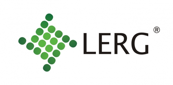 Logo LERG S.A.