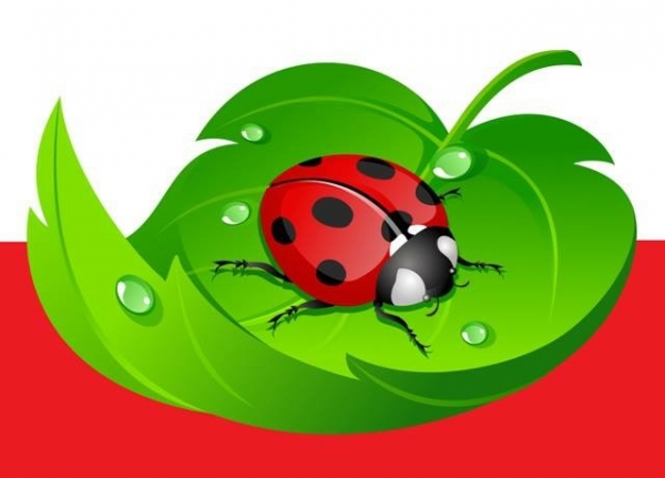Logo MRS LADYBIRD LTD POLSKI SKLEP