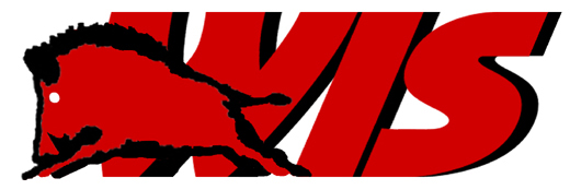 Logo WIS W DZIK S DZIK SPÓŁKA JAWNA