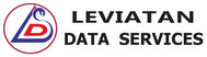 Logo Leviatan Data Services - Tomasz Lamperski