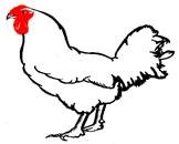 Logo Clazing 