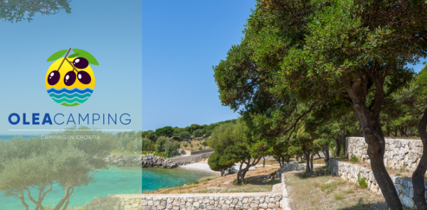 Logo Olea Camping