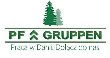 Logo BPS Sp. z o.o.