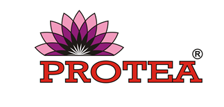 Logo Protea Sp. z o. o.