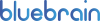 Logo Blue Brain Polska Sp. z o.o.