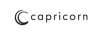 Logo capricorn COMPOSITE GmbH