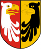 Logo GMINA RASZYN