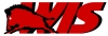 Logo WIS W DZIK S DZIK SPÓŁKA JAWNA