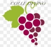 Logo Colle di vino società 