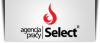 Logo Agencja Pracy Select