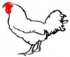Logo Clazing 