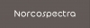 Logo Norcospectra Industries Sp. z o.o.
