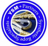 Logo YSM and Partners Cezary Lulkowski