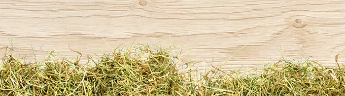 Banner dolny stopki