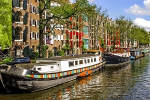 10 faktów o pracy w Holandii