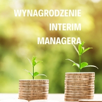 Jak ustalić wynagrodzenie Interim Managera - 3 alternatywne spojrzenia