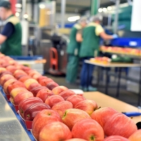 Wakacyjny rynek pracy: Najwięcej ofert pracy na wschodzie Polski, najmniej na południu