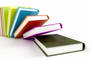 Kieszonkowy słownik zawodowy